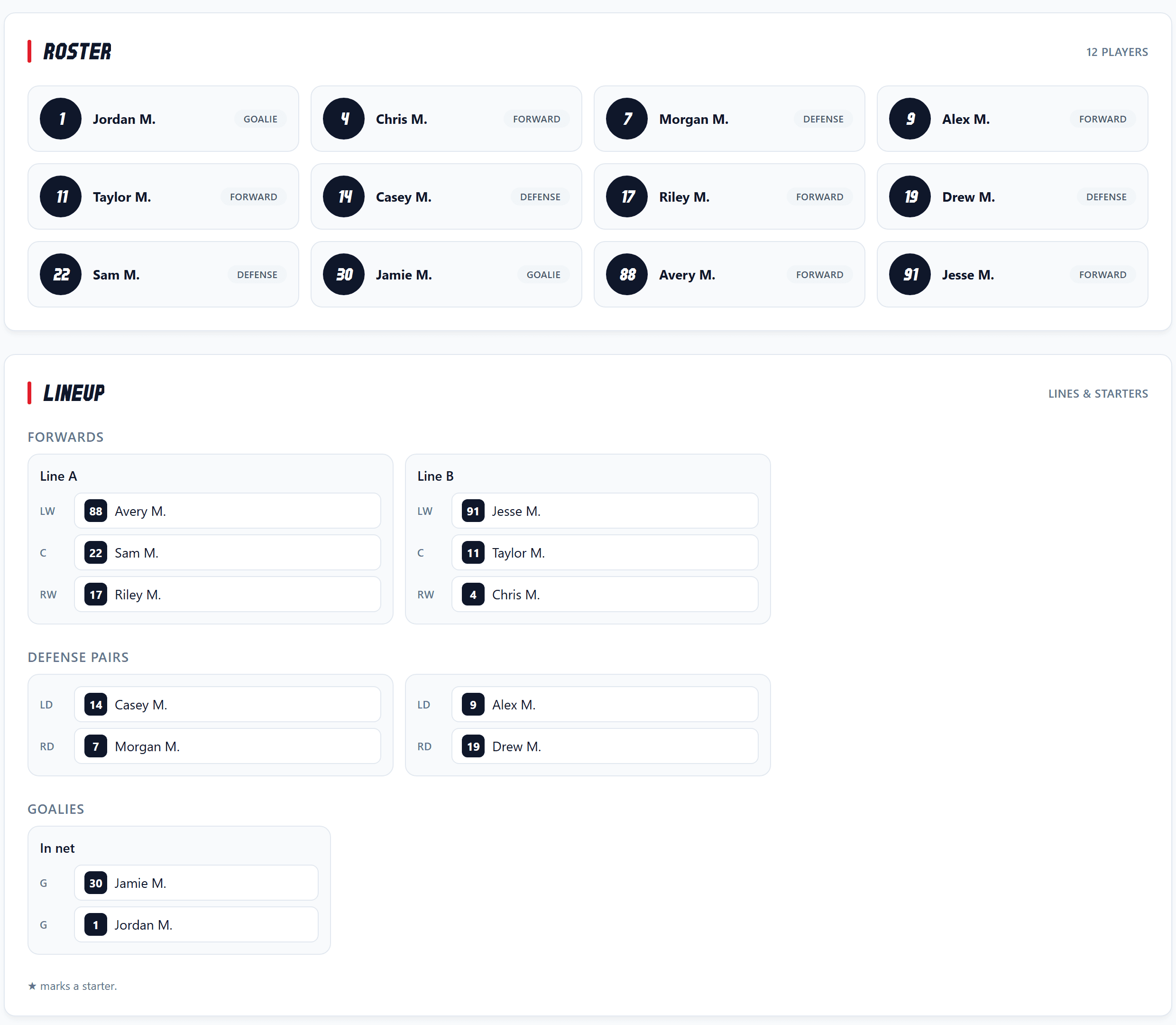 A hockey team page from the leaguify demo team: a twelve-player roster with each player marked goalie, forward or defense, and a lineup of two forward lines, two defense pairs and two goalies